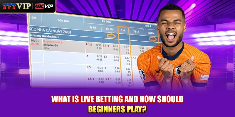 What Is Live Betting And How Should Beginners Play?